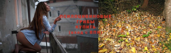 не бодяженный Киреевск