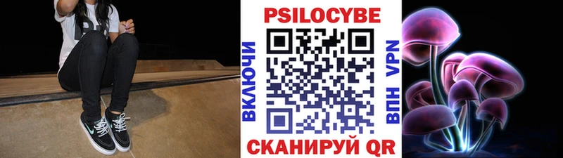 Купить закладки  Елизаветинская  Псилоцибиновые грибы Psilocybine cubensis 