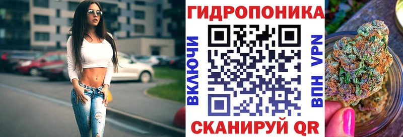 МАРИХУАНА THC 21%  Купить закладки  Елизаветинская 